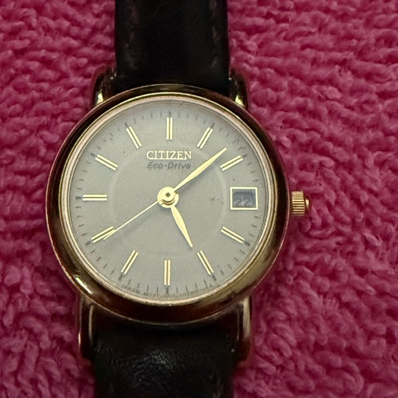 Citizen Accessories - Citizen Eco-Drive Women's Leather Watch